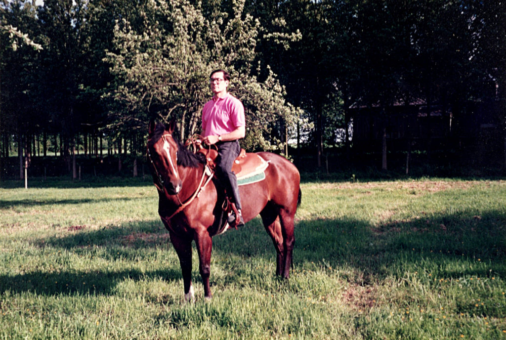 Cheval americain quarterhorse