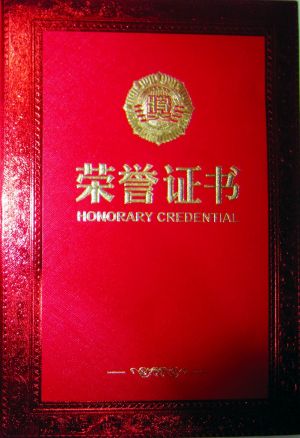 1er prix du public de la compétition des "Coutumes traditionnelles et populaires " Chengdu 02 2016